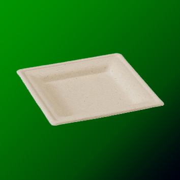 Biodegradable Tray Plates