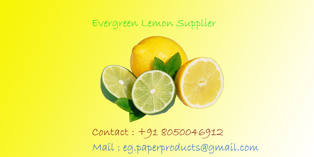 Lemon Suppliers