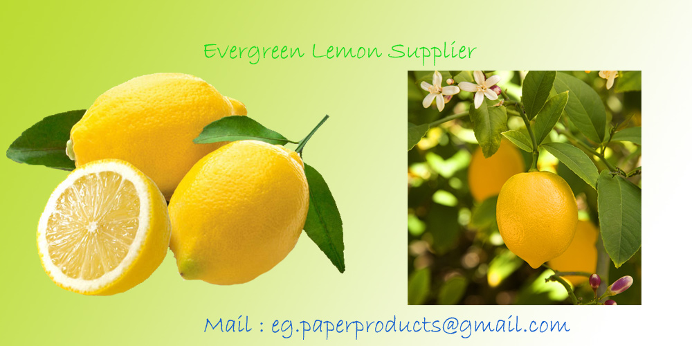 Lemon supplier in bangalore