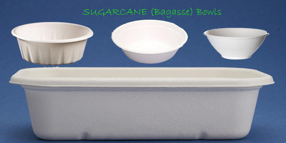 Bagasse bowls